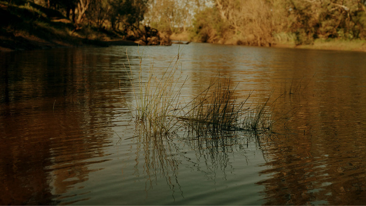 The Biodiversity Project - The Kahls