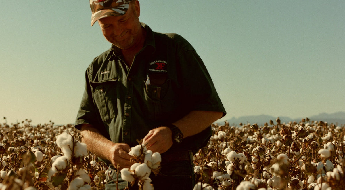 Cotton