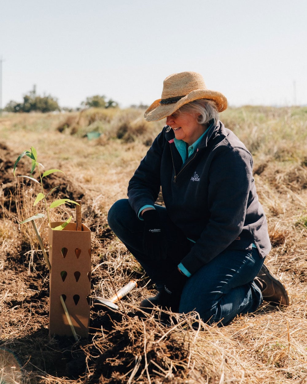 The Biodiversity Project: Celebrating Three Years of Restoring Native Habitats