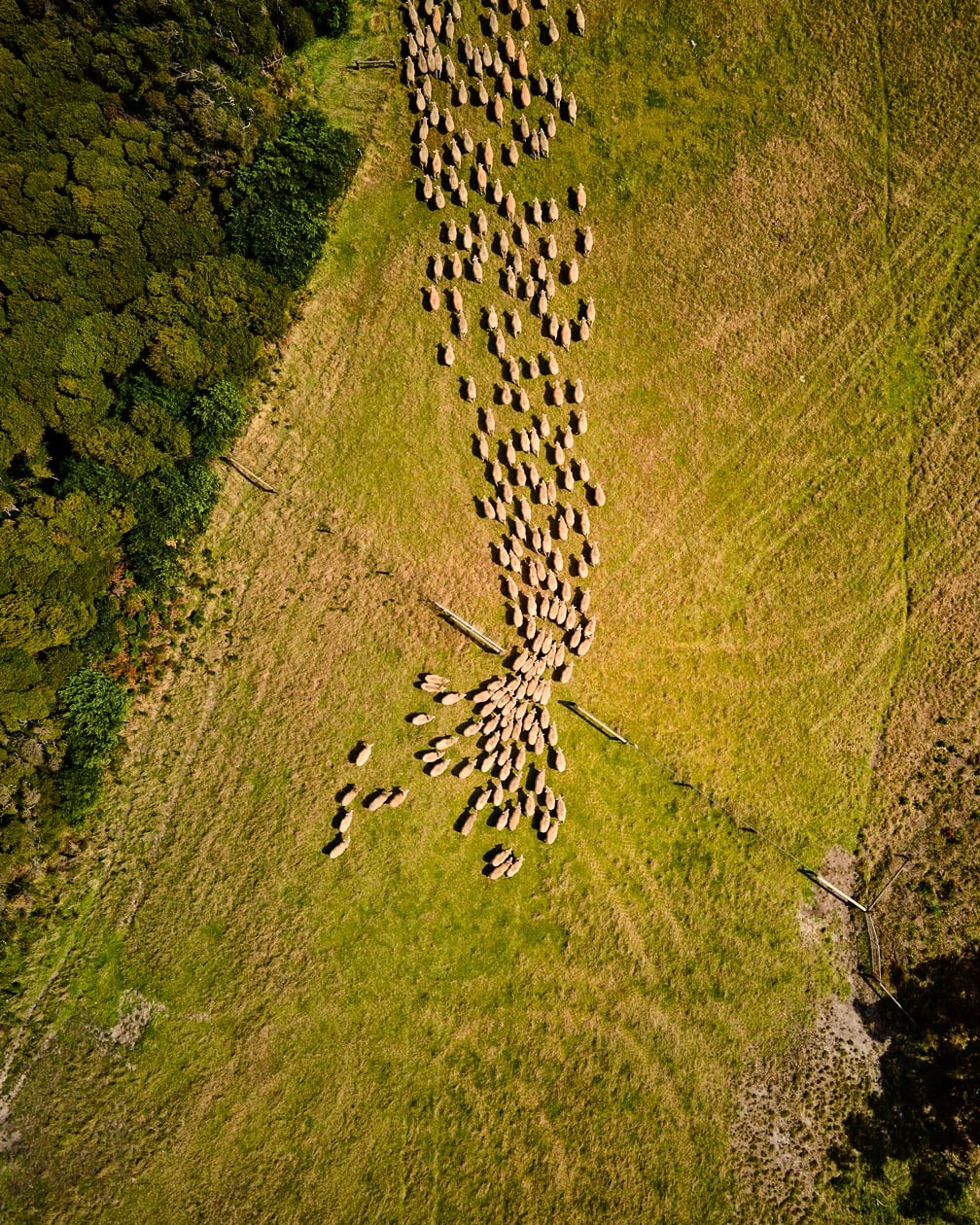 Supporting Australian Farmers to Improve Biodiversity