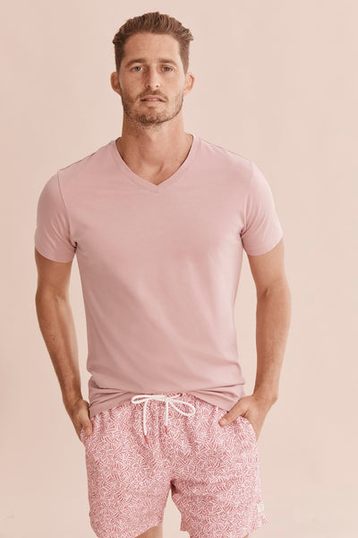 Pima Cotton V-Neck T-Shirt