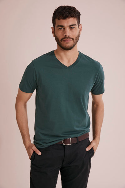 Pima Cotton V-Neck T-Shirt