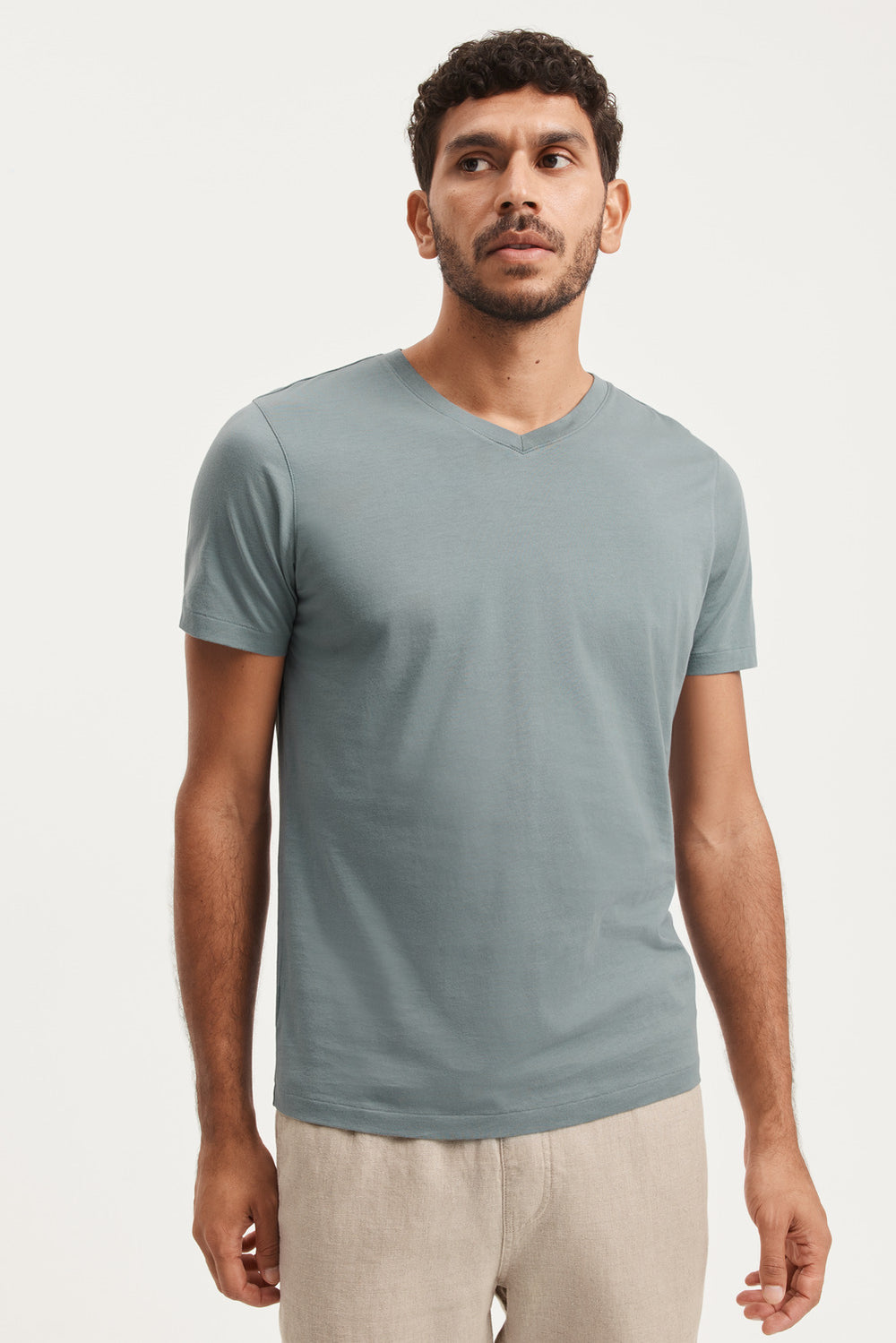 Pima Cotton V-Neck T-Shirt