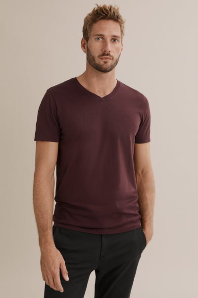 Pima Cotton V-Neck T-Shirt