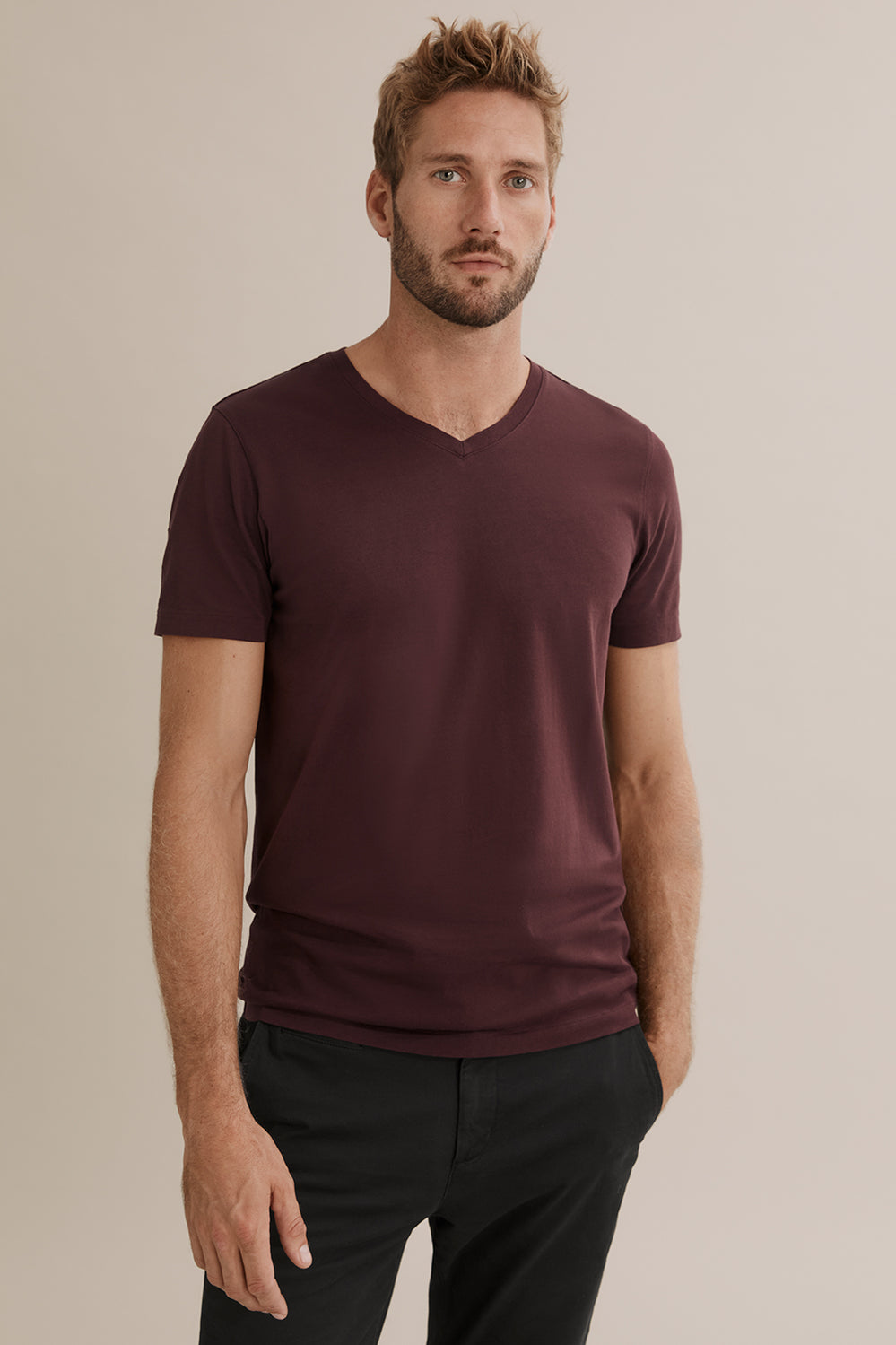 Pima Cotton V-Neck T-Shirt