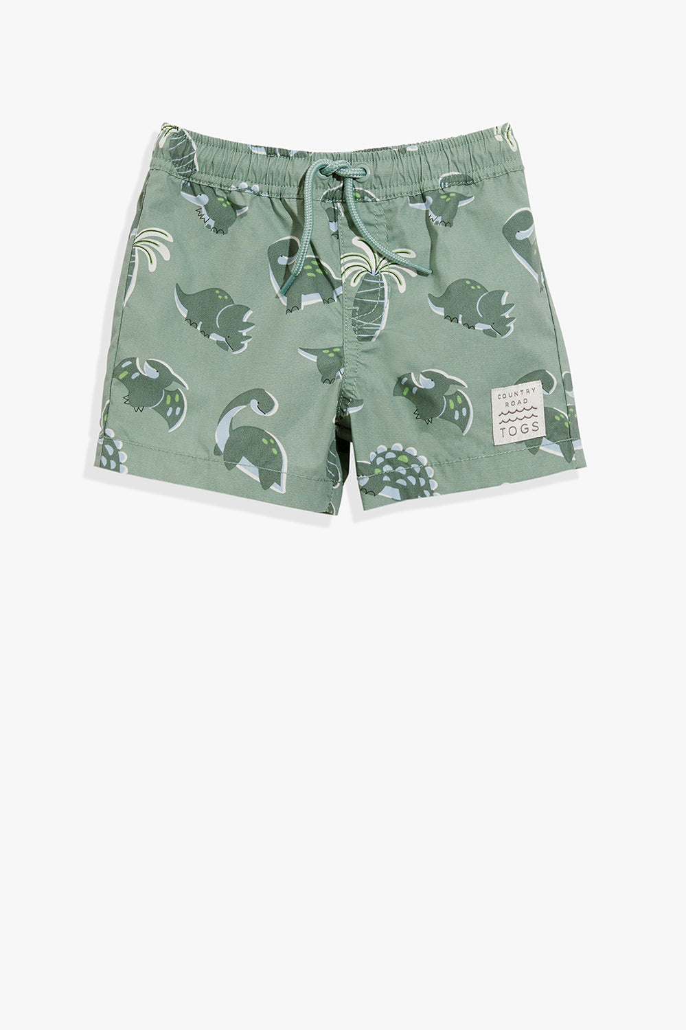 Dinosaur Board Short