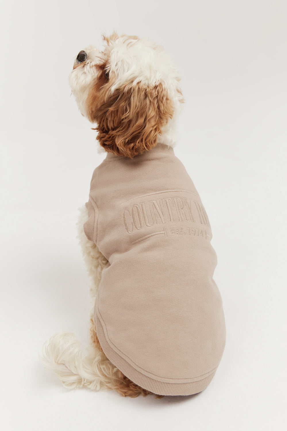 Enzo Australian Cotton Heritage Sweat