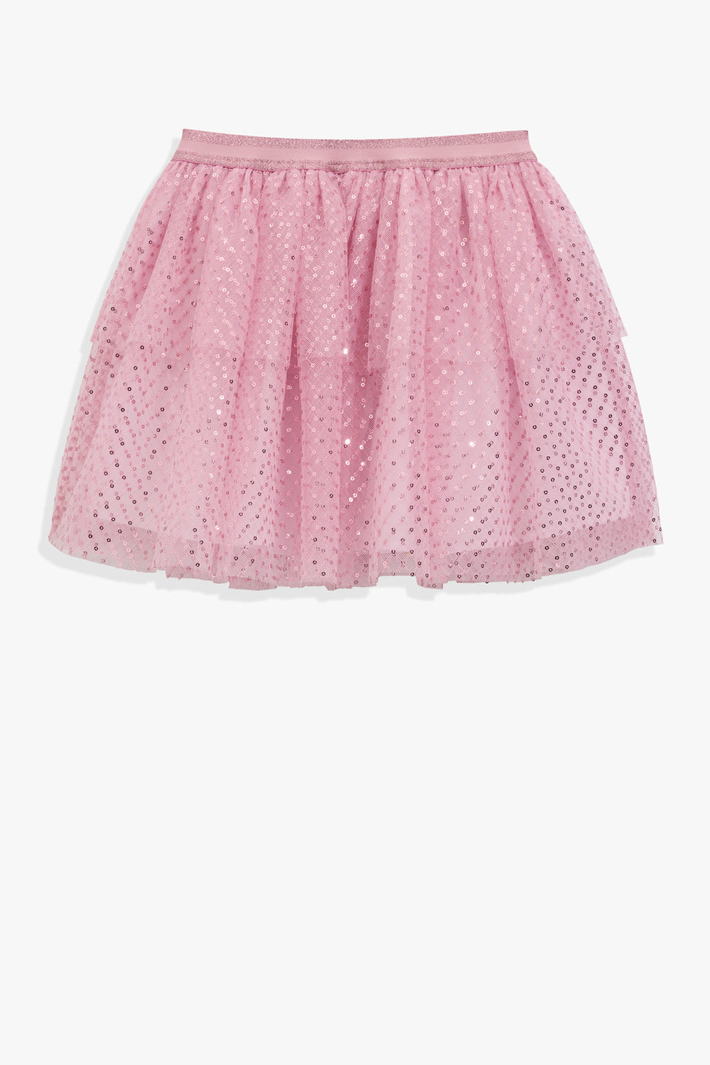 Mesh Tutu Skirt