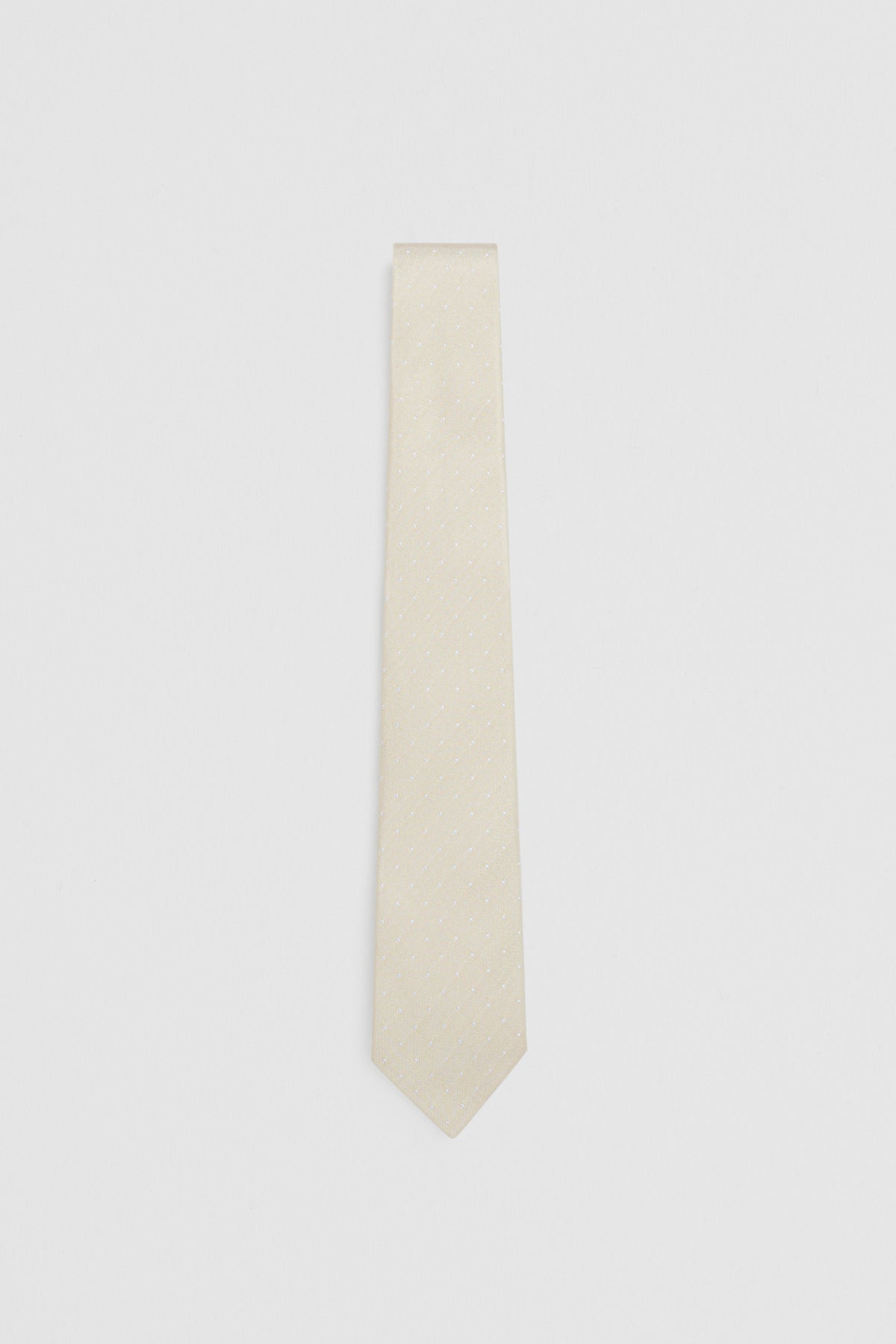Silk Dot Tie
