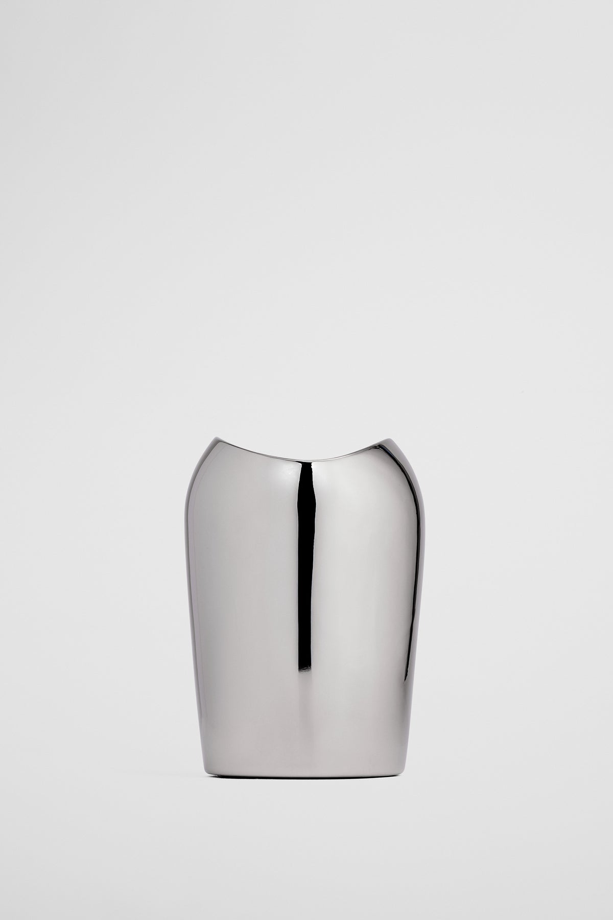 Cape Large Metallic Vase