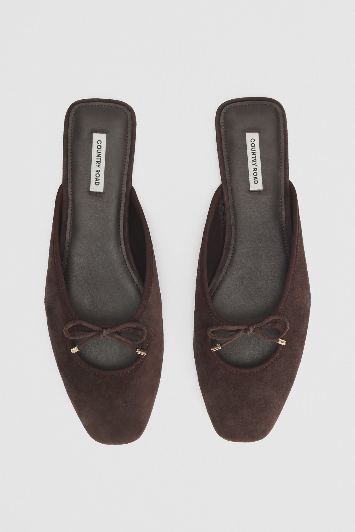 Ariana Mule