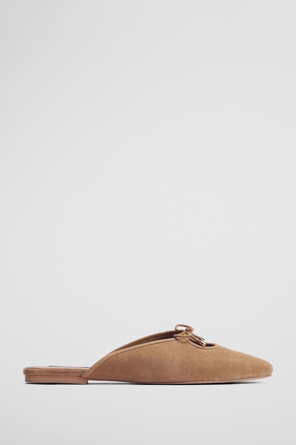 Ariana Mule