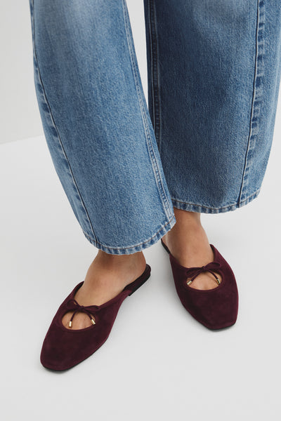 Ariana Mule
