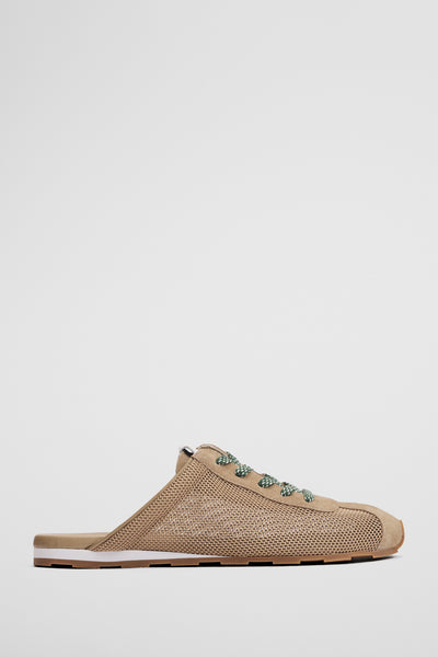 Darcy Mule