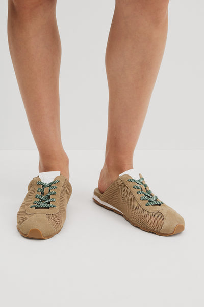 Darcy Mule