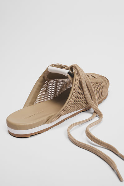 Darcy Mule