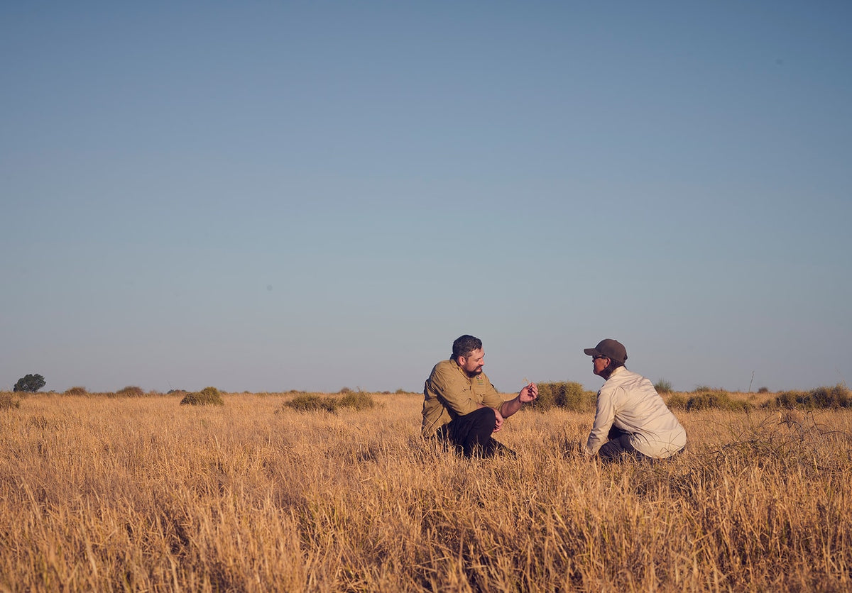 Two men crouching and shaking hands in a grassland paddock