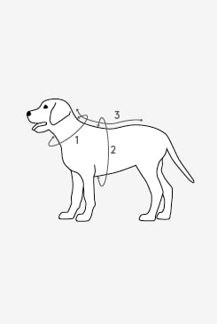 Pet sweat size guide